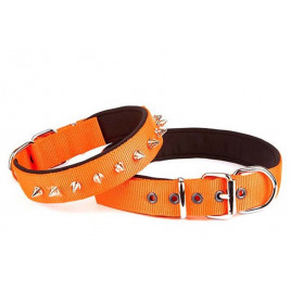 3x47 55 Cm Konfor Dokuma Çivili Boyun Tasma Turuncu | Köpek Boyun Tasması