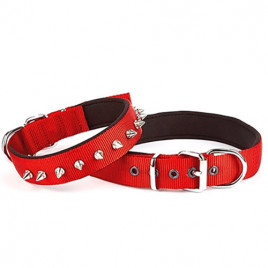 2,5x37-45 Cm Konfor Dokuma Çivili Boyun Tasması Kırmızı | Köpek Boyun Tasması