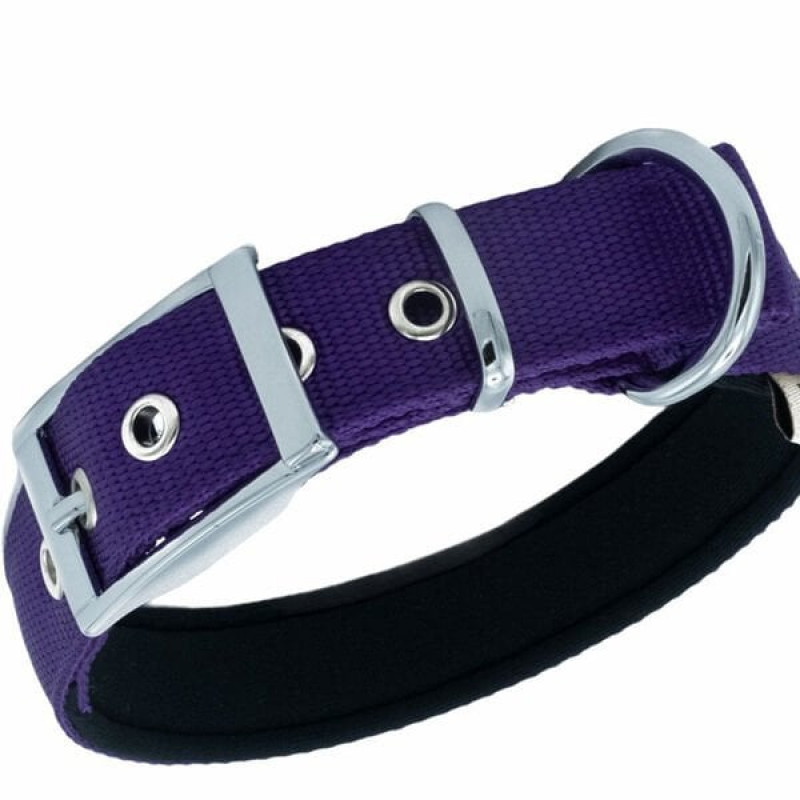 Doggie L Elit Dokuma Boyun Tasması Mor 2.5x42-50 Cm | Köpek Boyun Tasması