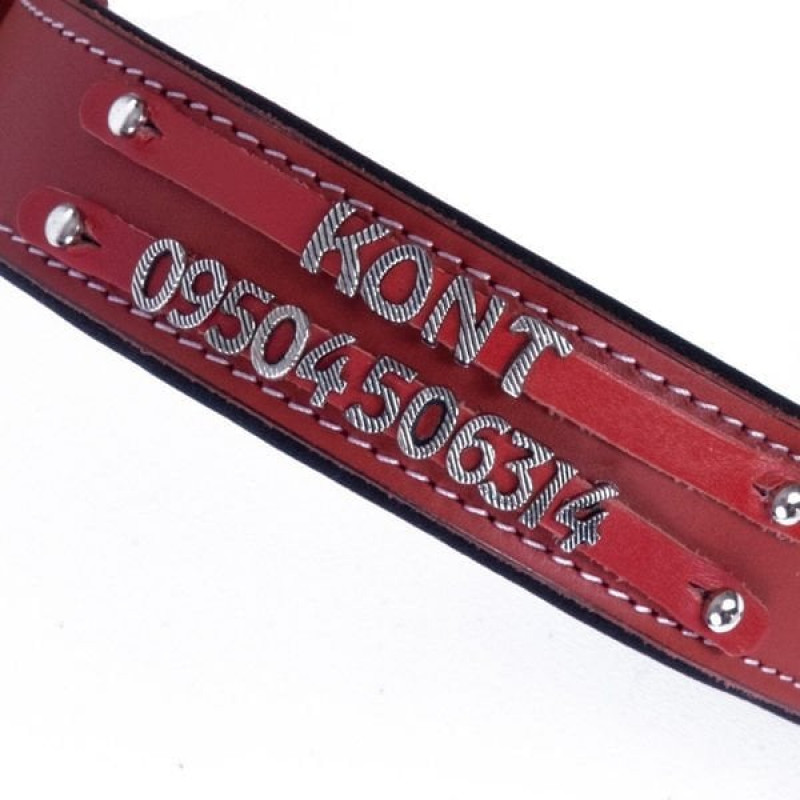 Doggie L Konfor Deri Çift İsimlikli Boyun Tasması Kırmızı 3.5x52-60 Cm | Köpek Boyun Tasması