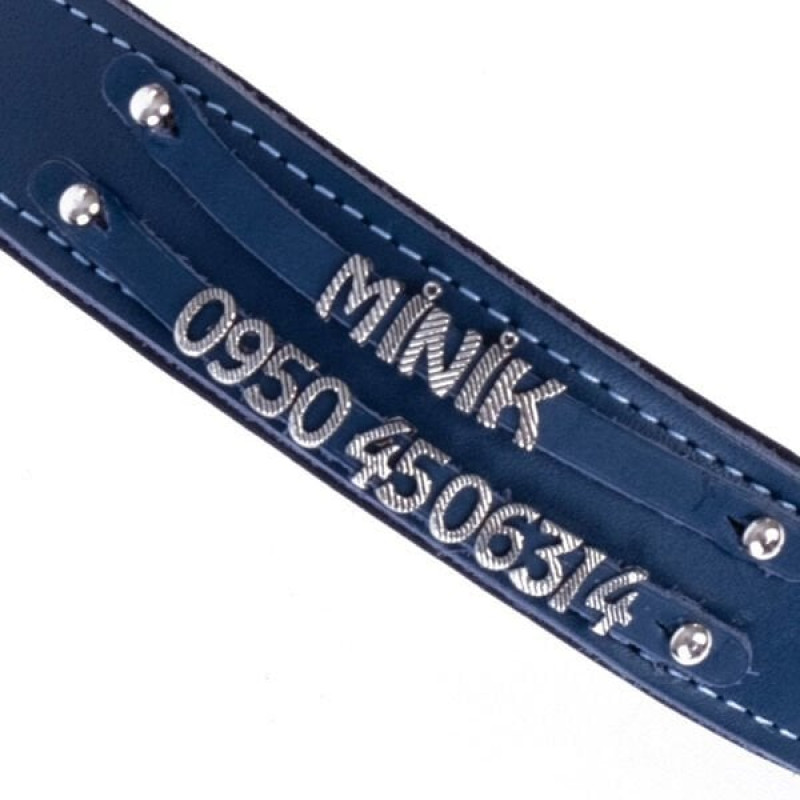 Doggie L Konfor Deri Çift İsimlikli Boyun Tasması Royal Mavi 3.5x52-60 Cm | Köpek Boyun Tasması