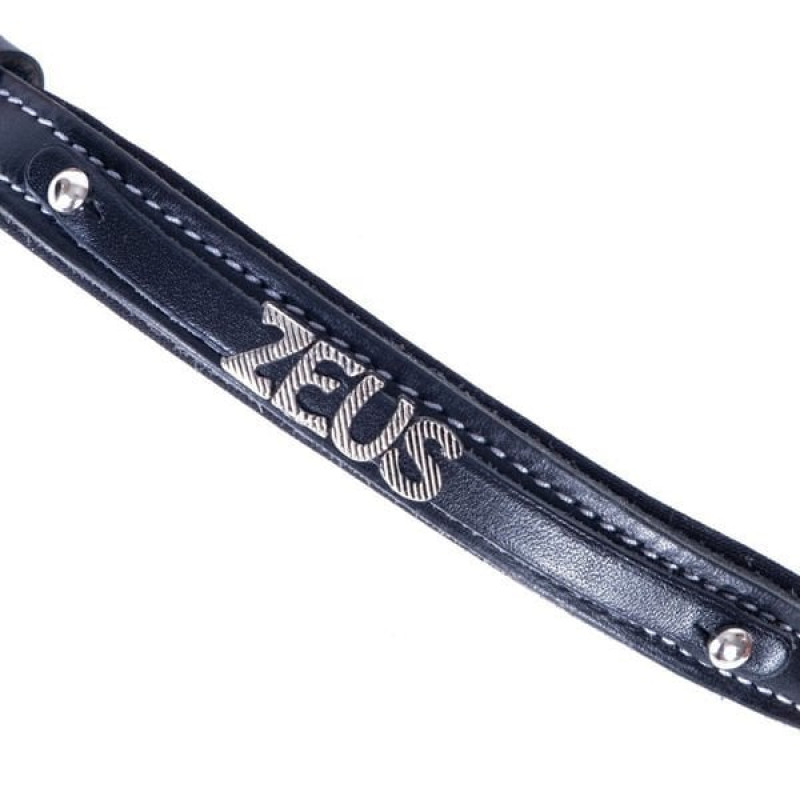 Doggie M Konfor Deri Çift İsimlikli Boyun Tasması Siyah 1.5x25-30 Cm | Köpek Boyun Tasması