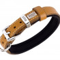 Doggie M Konfor Deri İsimlikli Boyun Tasması Camel 2x35-40 Cm | Köpek Boyun Tasması