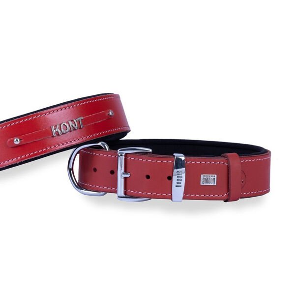 Doggie M Konfor Deri İsimlikli Boyun Tasması Kırmızı 4x52-60 Cm | Köpek Boyun Tasması