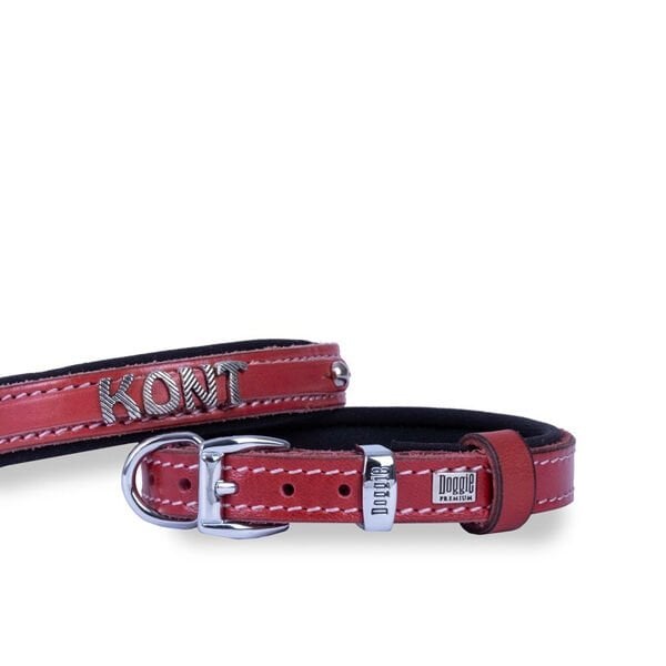 Doggie S Konfor Deri İsimlikli Boyun Tasması Kırmızı 1.5x20-25 Cm | Köpek Boyun Tasması