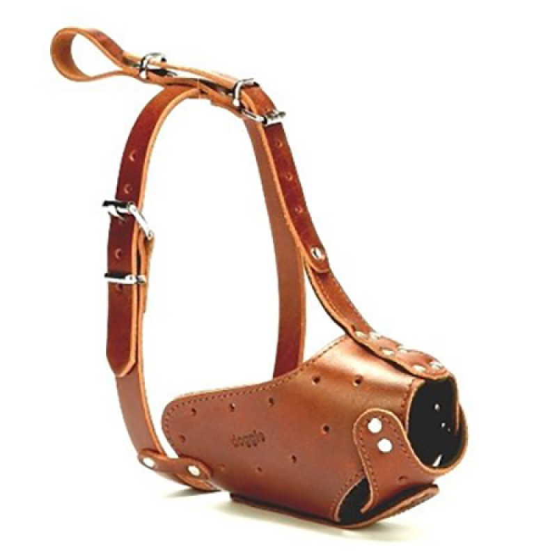 Doggie 1,5x45-45cm Uzun Burun Koruma Deri Ağızlık Brown | Köpek Ağızlığı Doggie 1,5x45-45cm Uzun Burun Koruma Deri Ağızlık Brown | Köpek Ağızlığı