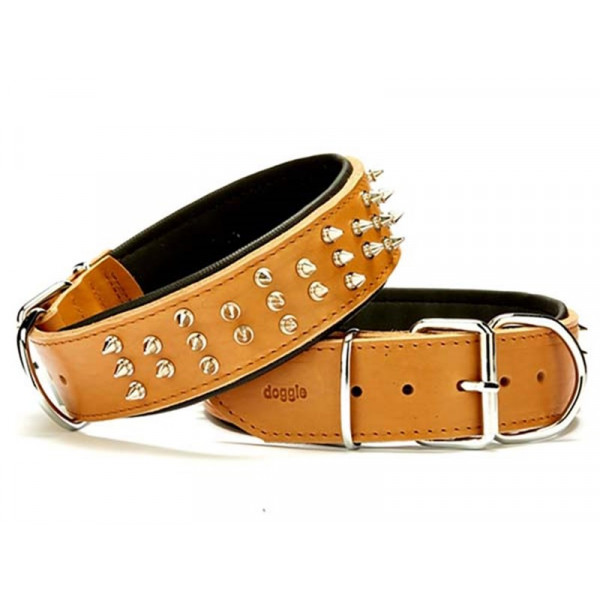 Doggie 5x50-60 Cm Çift Kat Deri Ex.Güçlü Çivili Boyun Tasması Camel | Köpek Boyun Tasması