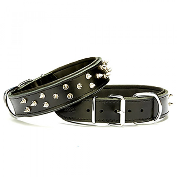 Doggie 4x57-65 Cm Çift Kat Deri Ex.Güçlü Çivili Boyun Tasması Black | Köpek Boyun Tasması