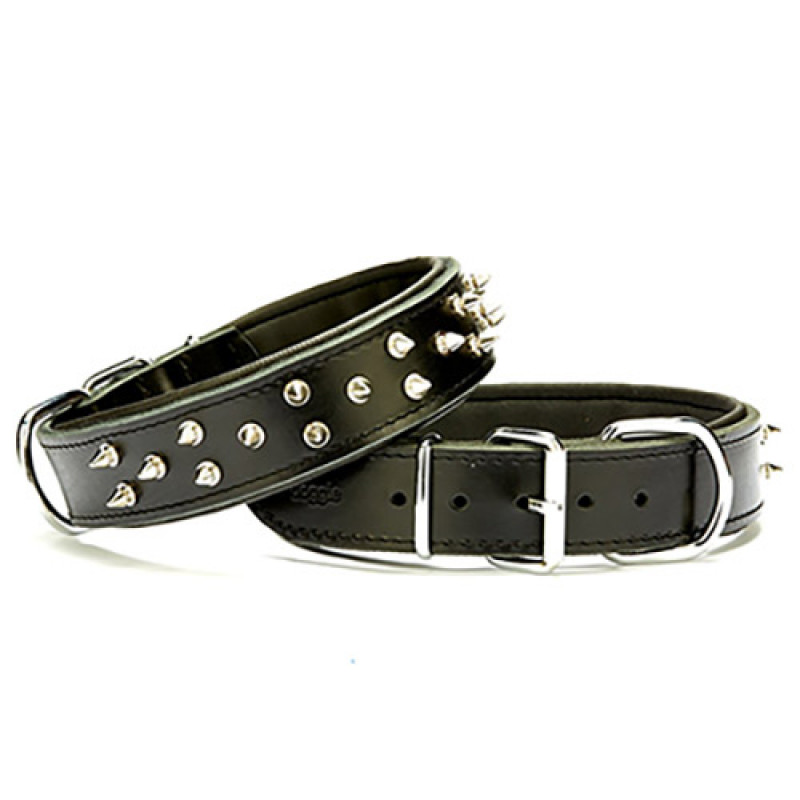 Doggie 4x57-65 Cm Çift Kat Deri Ex.Güçlü Çivili Boyun Tasması Black | Köpek Boyun Tasması Doggie 4x57-65 Cm Çift Kat Deri Ex.Güçlü Çivili Boyun Tasması Black | Köpek Boyun Tasması