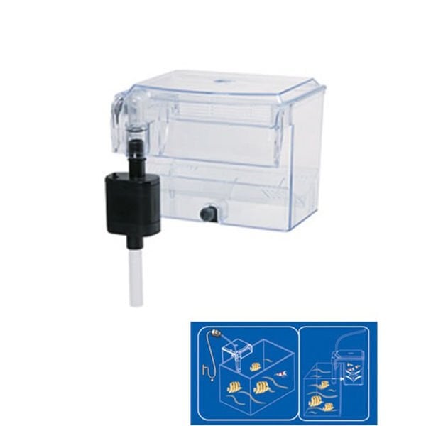 Dophin BB10 Motorlu Yavruluk | Akvaryum Yavruluğu