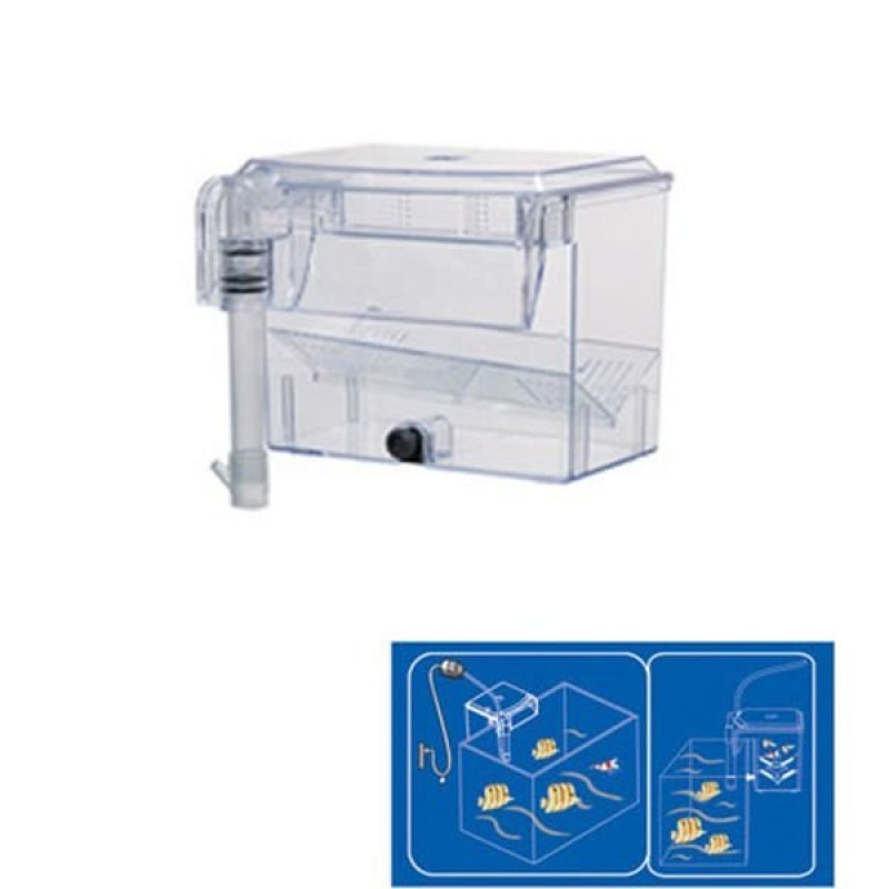 Dophin BB11 Motorlu Yavruluk | Akvaryum Yavruluğu Dophin BB11 Motorlu Yavruluk | Akvaryum Yavruluğu