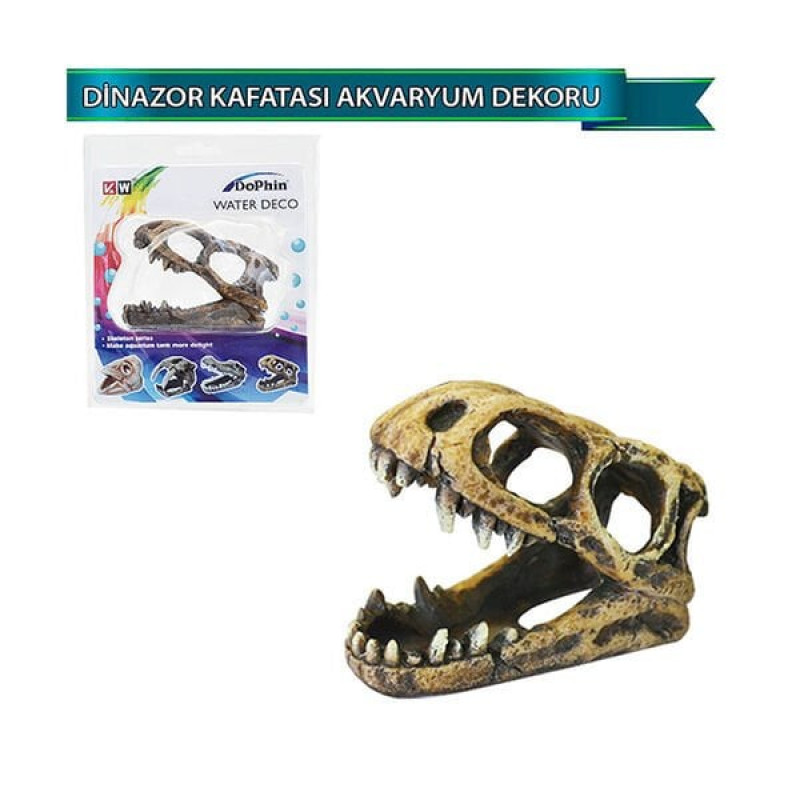 Dophin Dinazor Kafatası | Akvaryum Dekor Fon Dophin Dinazor Kafatası | Akvaryum Dekor Fon