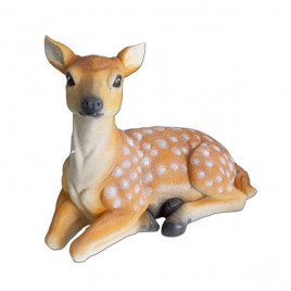 King Geyik | Akvaryum Dekor Fon