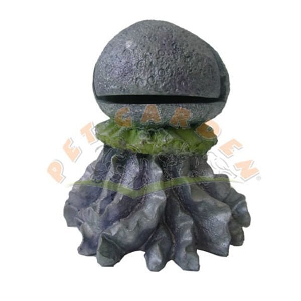 Dophin King Kalamar | Akvaryum Dekor Fon