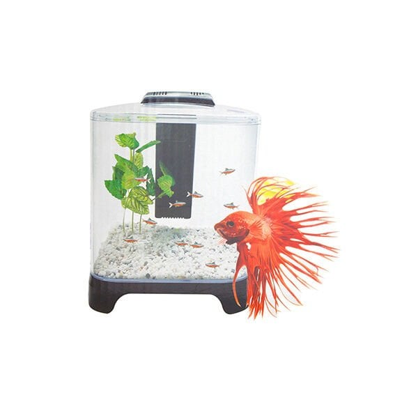 Dophin Mini Filtreli ve Işıklı Küçük Akvaryum | Tatlı Su Akvaryumu