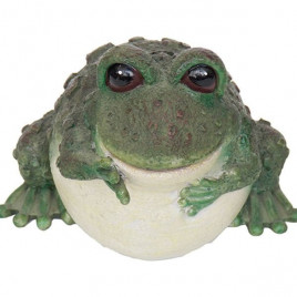 King Kabarcıklı Bilgiç Kurbağa | Akvaryum Dekor Fon