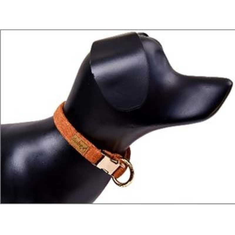Dubex Xs-S G-Dog Boyun Tasması Turuncu 19-30 Cm 15 Mm | Köpek Boyun Tasması Dubex Xs-S G-Dog Boyun Tasması Turuncu 19-30 Cm 15 Mm | Köpek Boyun Tasması