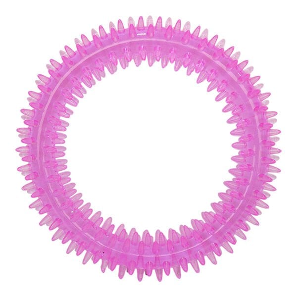 Eastland 12 Cm Plastik Simit Şeklinde Diş Kaşıma | Köpek Çiğneme