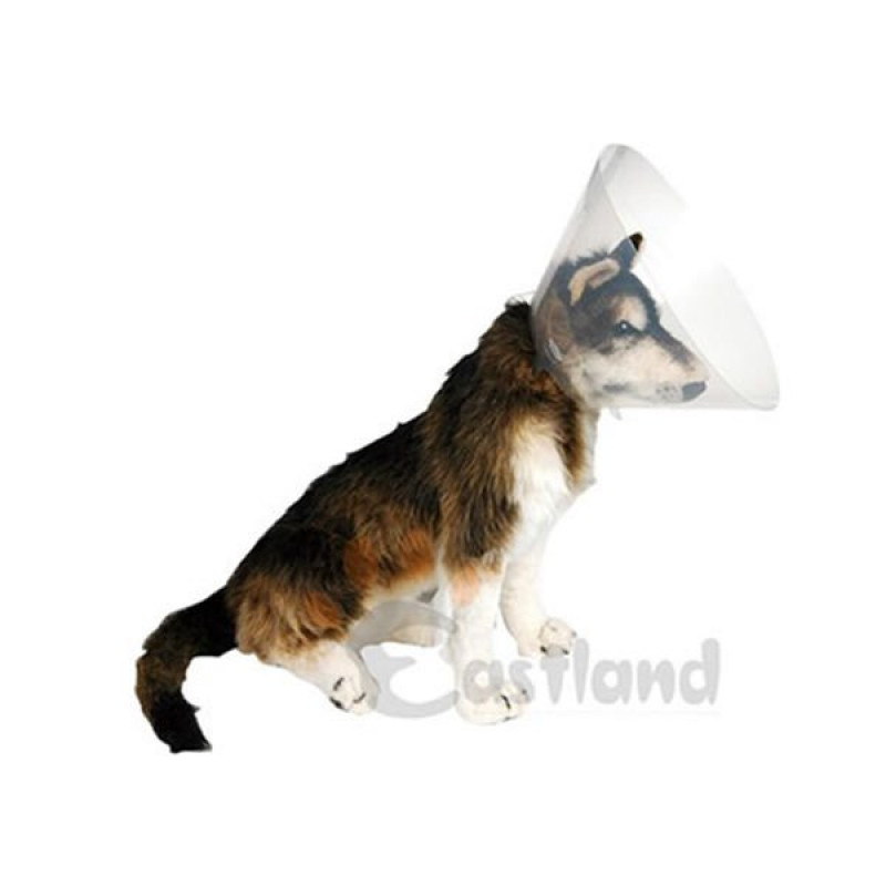 Eastland 12.5 Cm Elizabeth Yakalığı | Köpek Aksesuarı Eastland 12.5 Cm Elizabeth Yakalığı | Köpek Aksesuarı