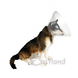 20 Cm Elizabeth Yakalığı | Köpek Aksesuarı