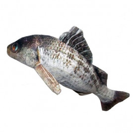 20 Cm Peluş Levrek | Peluş Kedi Oyuncağı 20 Cm Peluş Levrek | Peluş Kedi Oyuncağı