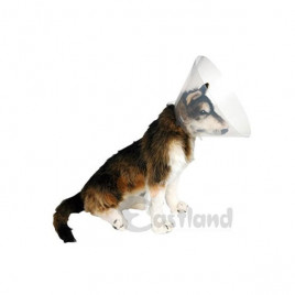 25 Cm Elizabeth Yakalığı | Köpek Aksesuarı