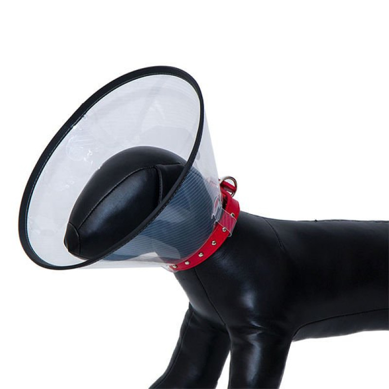 Eastland 32X19 Cm Dayanıklı Elizabeth Yakalığı | Köpek Boyun Tasması Eastland 32X19 Cm Dayanıklı Elizabeth Yakalığı | Köpek Boyun Tasması