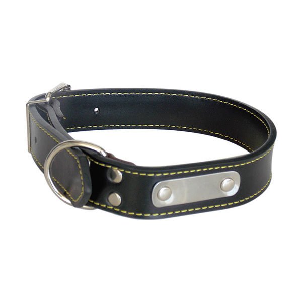 Eastland 55 Cm Deri Boyun | Köpek Boyun Tasması