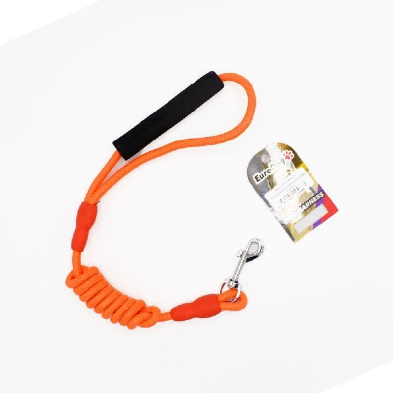 Euro Dog 120 Cm 8 Mm Gezdirme Turuncu | Köpek Gezdirme Tasması Euro Dog 120 Cm 8 Mm Gezdirme Turuncu | Köpek Gezdirme Tasması