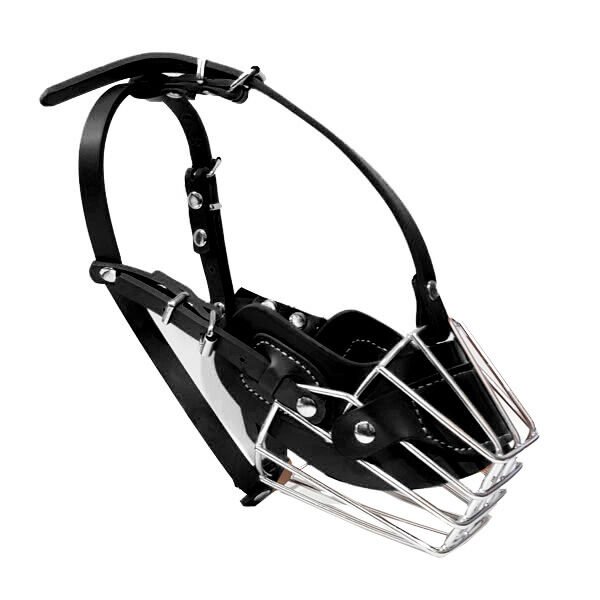 Euro Dog No:1 Profesyonel Ağızlık Siyah | Köpek Ağızlığı