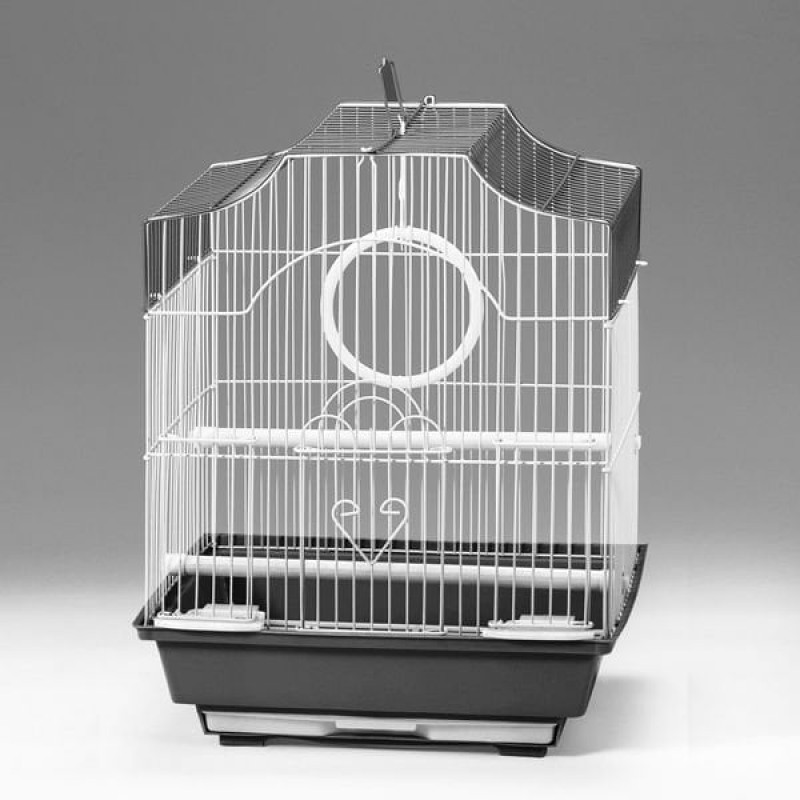 Euro Gold 30x23x39 Cm Salıncaklı Kafes Renkli | Kuş Kafesi