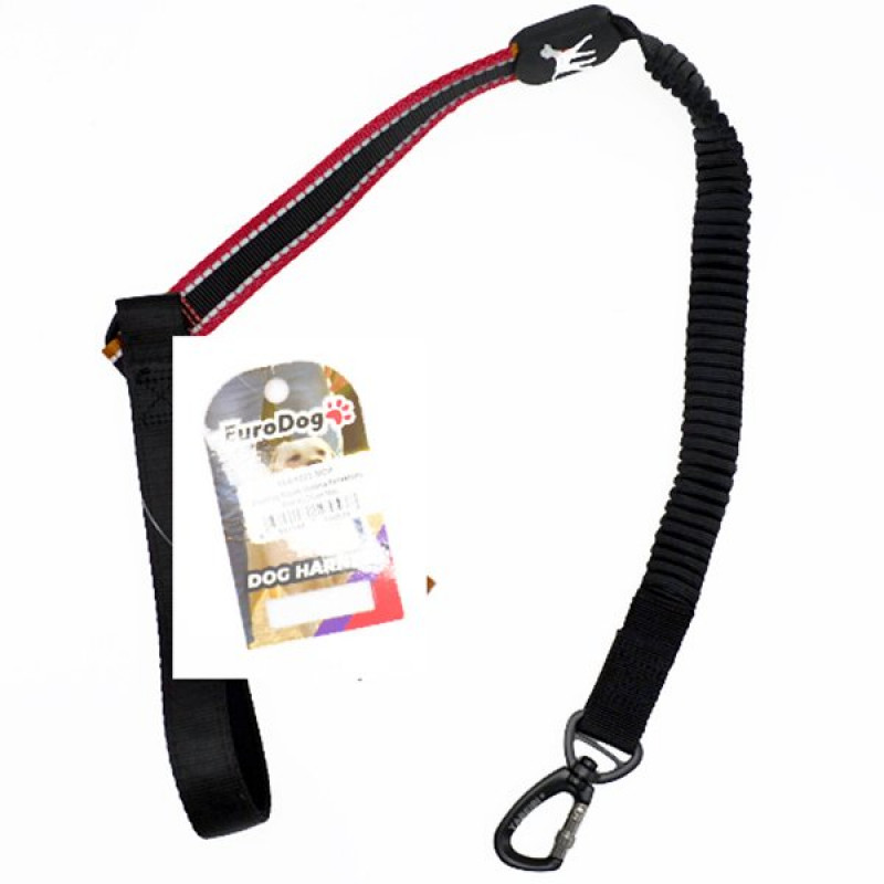 Euro Dog 25 Mmx120 Cm Uzatma Lastikli Kırmızı | Köpek Gezdirme Tasması