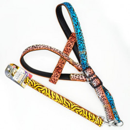 120 Cm Uzatma Tasması+Göğüs Tasması Renkli 25mm | Köpek Gezdirme Tasması