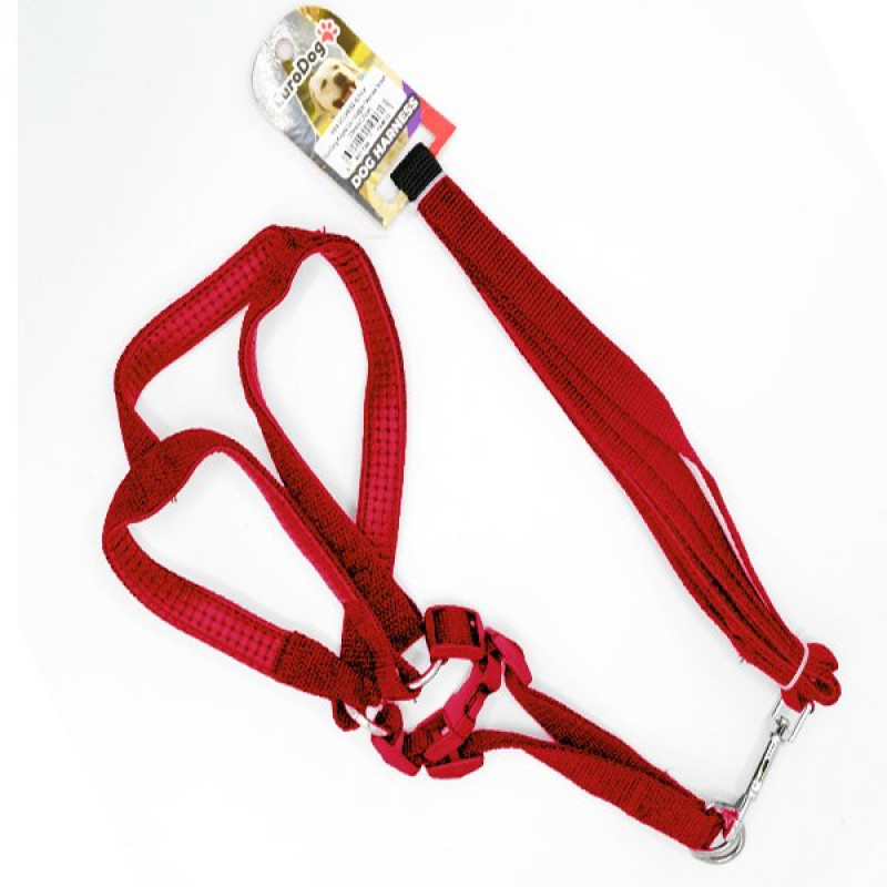 Euro Dog 20mmx120 Cm Uzatma Tasması+Göğüs Tasması Kırmızı | Köpek Gezdirme Tasması Euro Dog 20mmx120 Cm Uzatma Tasması+Göğüs Tasması Kırmızı | Köpek Gezdirme Tasması