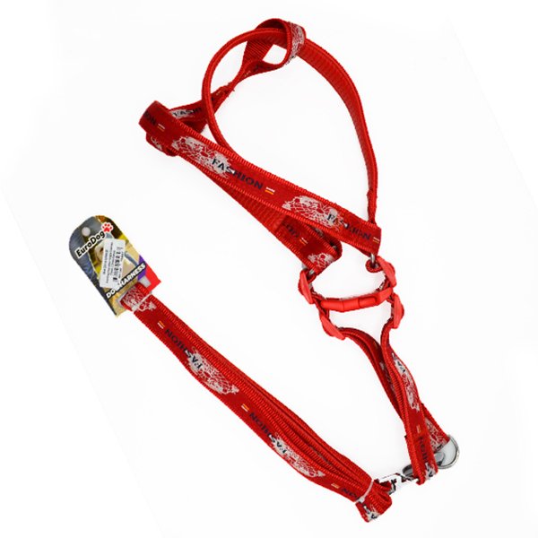 Euro Dog 25mm 120 Cm Uzatma Tasması+Göğüs Tasması Kırmızı | Köpek Göğüs Tasması