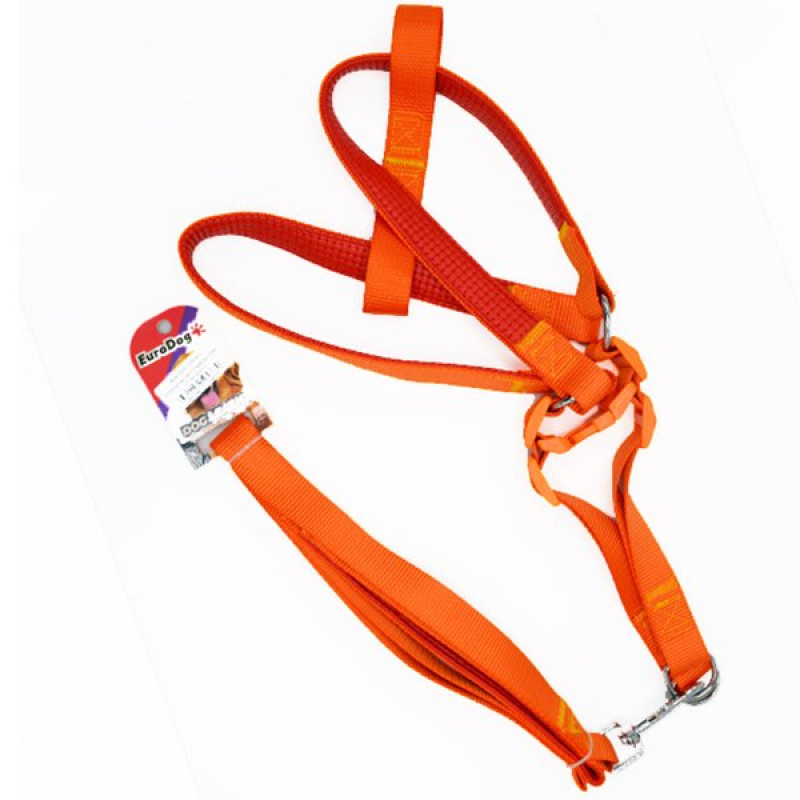 Euro Dog 120 Cm 25 Mm Uzatma ve Göğüs Turuncu | Köpek Göğüs Tasması Euro Dog 120 Cm 25 Mm Uzatma ve Göğüs Turuncu | Köpek Göğüs Tasması