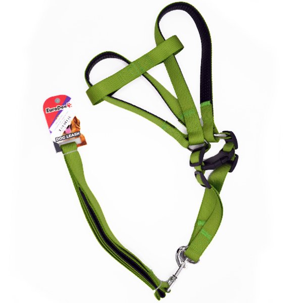 Euro Dog 25mm 120 Cm Uzatma Tasması+Göğüs Tasması Yeşil | Köpek Gezdirme Tasması