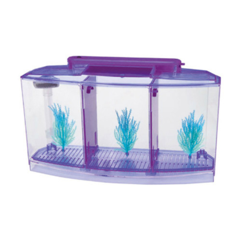 EuroGold Mini Akvaryum Kit Mor | Tatlı Su Akvaryumu EuroGold Mini Akvaryum Kit Mor | Tatlı Su Akvaryumu
