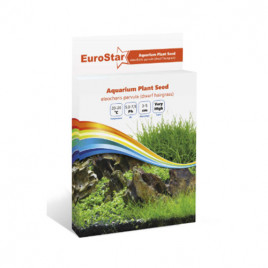 EuroStar Bitki Tohumu Eleocharis Parvula | Akvaryum Bitki Besini