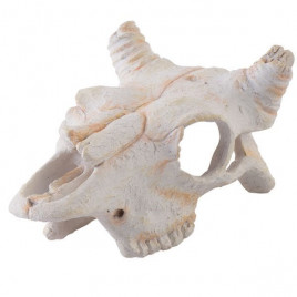 Exo S Terra Bufalo Kafatası 13x10x6 Cm | Kaplumbağa Yuvası