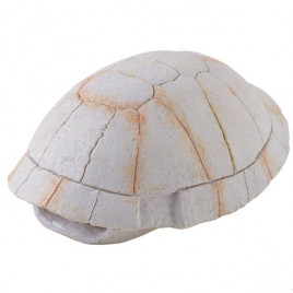 13,5x9x7 Cm Kaplumbağa Kabuğu Beyaz | Kaplumbağa Yuvası