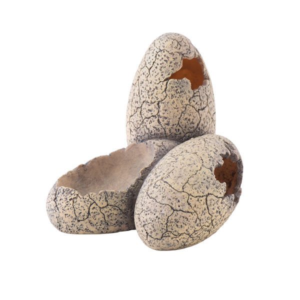 Exo Terra 15x13x13 Cm Dinazor Yumurtası | Kaplumbağa Yuvası