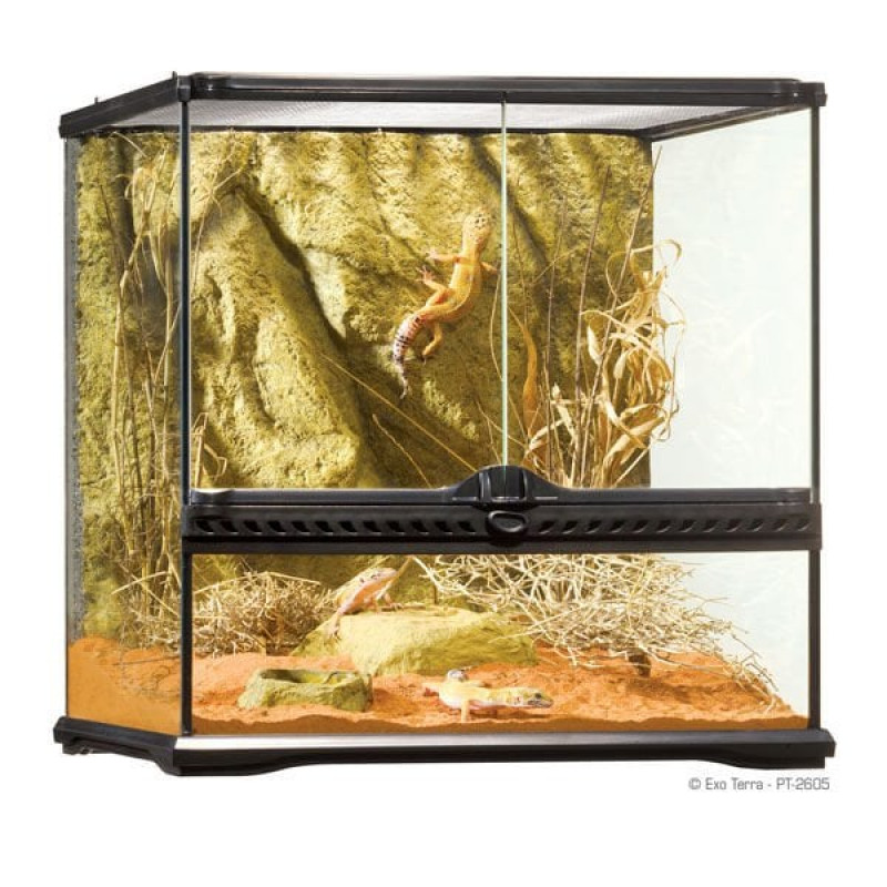 Exo Terra 45x45x45 Cm Teraryum | Cam Terraryum Exo Terra 45x45x45 Cm Teraryum | Cam Terraryum
