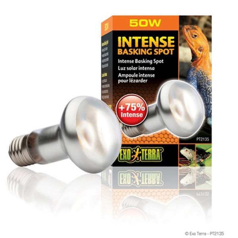 Exo Terra 5W Spot Lamba 63 Mm | Kaplumbağa Aydınlatma Lamba Exo Terra 5W Spot Lamba 63 Mm | Kaplumbağa Aydınlatma Lamba