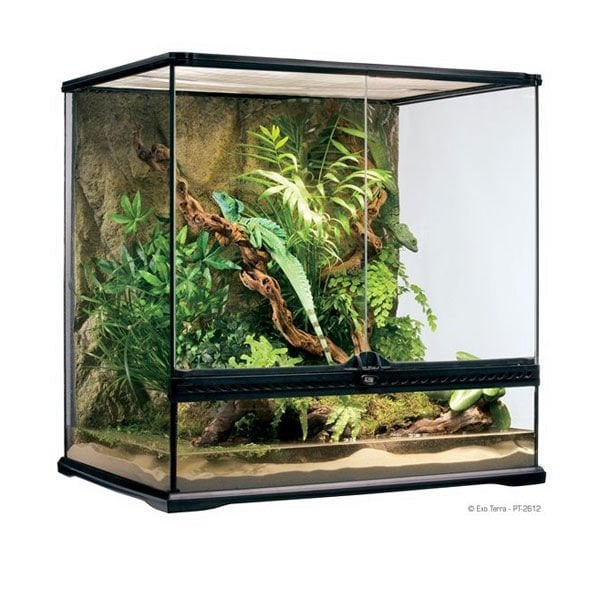 Exo Terra 60x45x60 Cm Teraryum | Cam Terraryum