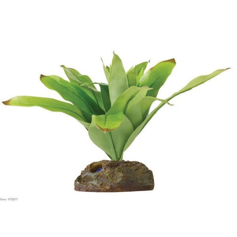 Exo Terra 8x8x20 Cm Küçük Teraryum için Plastik Bitki Yeşil | Kaplumbağa Kaya Ve Ağaç Exo Terra 8x8x20 Cm Küçük Teraryum için Plastik Bitki Yeşil | Kaplumbağa Kaya Ve Ağaç