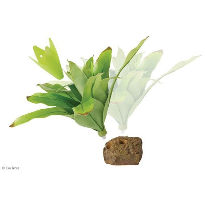 Exo Terra 8x8x20 Cm Küçük Teraryum için Plastik Bitki Yeşil | Kaplumbağa Kaya Ve Ağaç
