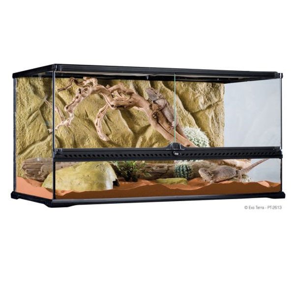 Exo Terra 90x45x45 Cm Teraryum | Cam Terraryum