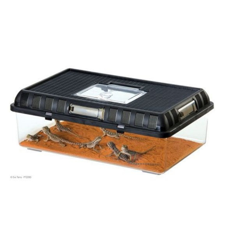 Exo Terra L Breeding Box Siyah | Cam Terraryum