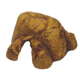 L Mağara | Kaplumbağa Mağarası